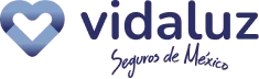 VidaLuz Seguros de México